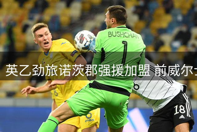 英乙劲旅诺茨郡强援加盟 前威尔士国脚库珀租借来投
