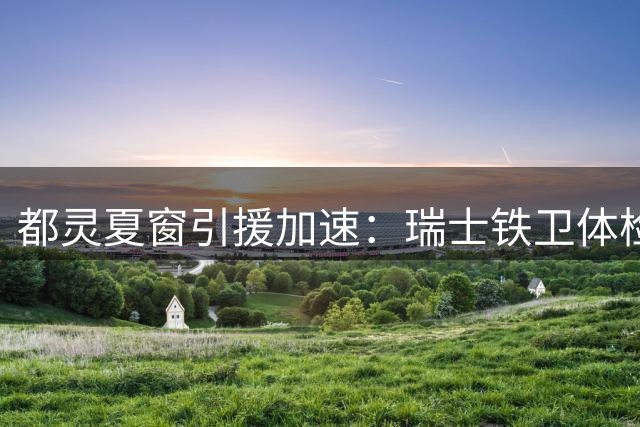 都灵夏窗引援加速：瑞士铁卫体检完成 荷兰新星加盟在即